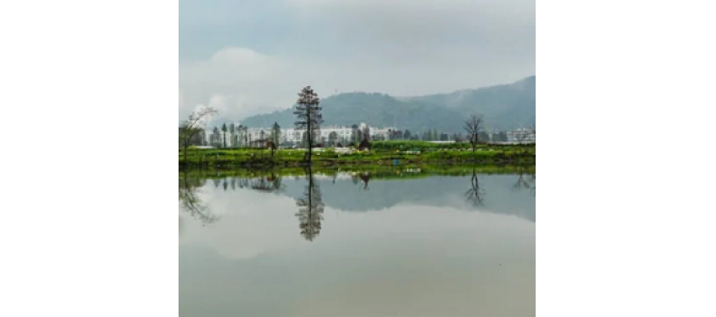 水產養(yǎng)殖過程中如何應對冬季惡劣天氣？